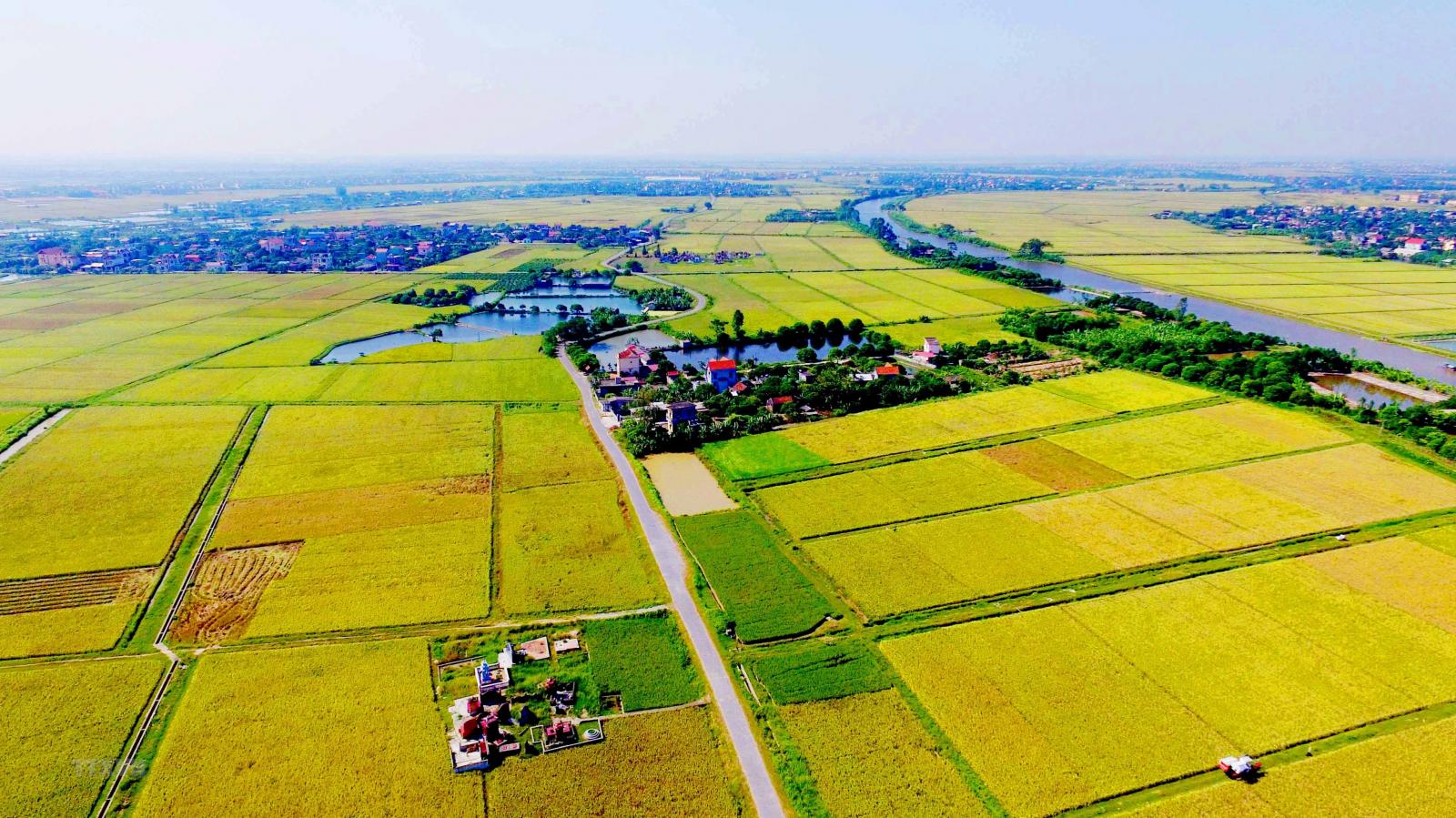 Ngân hàng định giá đất nông nghiệp chỉ 30.000 - 50.000 đồng/m2